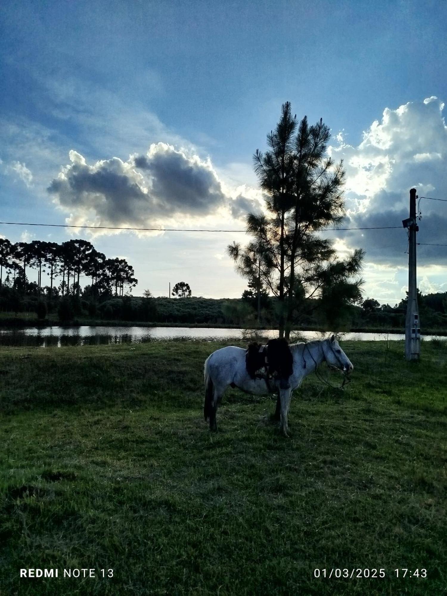 Encanto Das Araucarias Cambará المظهر الخارجي الصورة