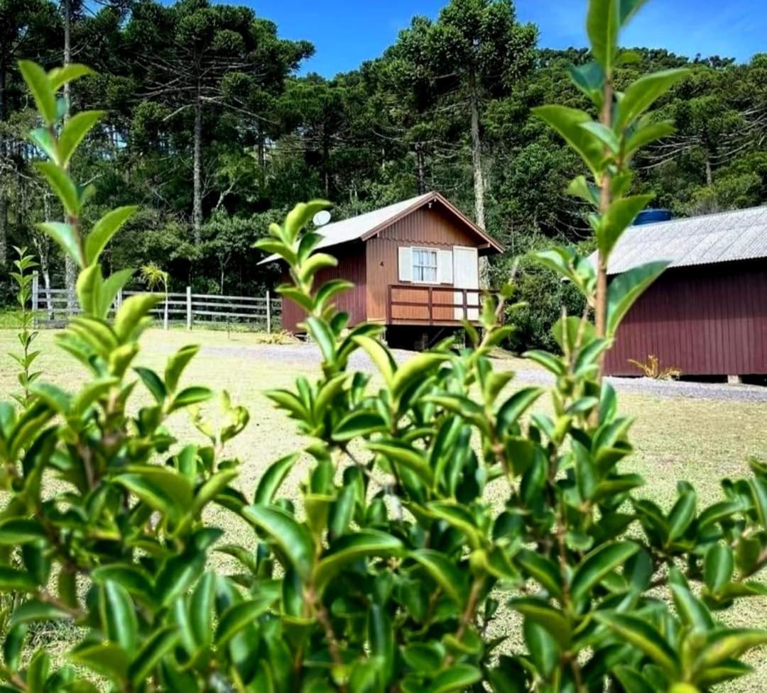 Encanto Das Araucarias Cambará المظهر الخارجي الصورة